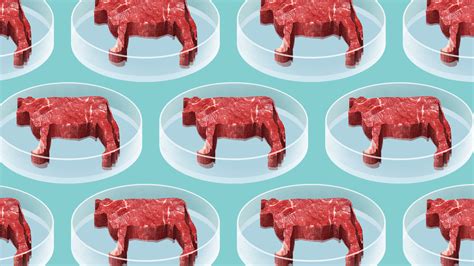 Behind The Hype Of Lab Grown Meat