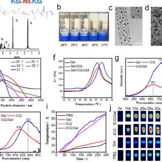 Characterization Of Shv A H Nmr Spectrum Of Plga Peg Plga Triblock