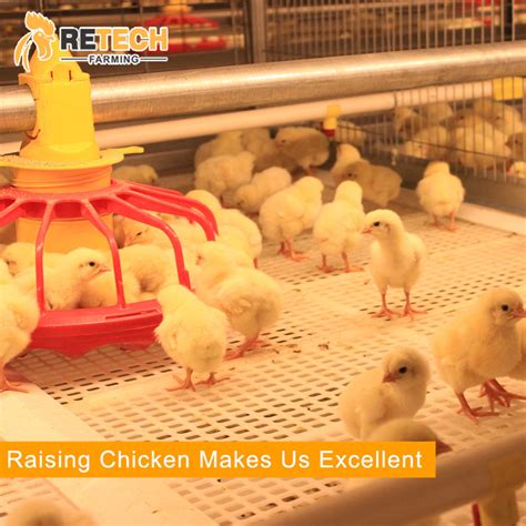 High Quality Poultry Farming Pan Feeding System For Chicken Farm