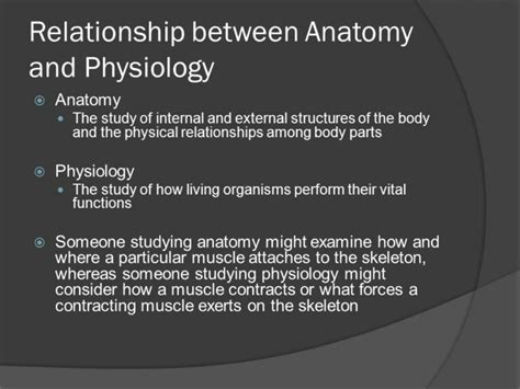 What Is The Relationship Between Anatomy And Physiology