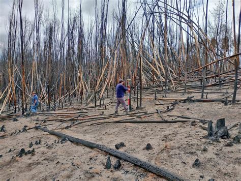 Un Total De Familias Damnificadas Podr An Recibir Vivienda Al