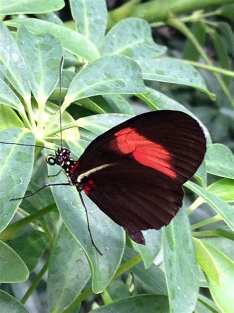 sertoma butterfly house & marine cove 3
