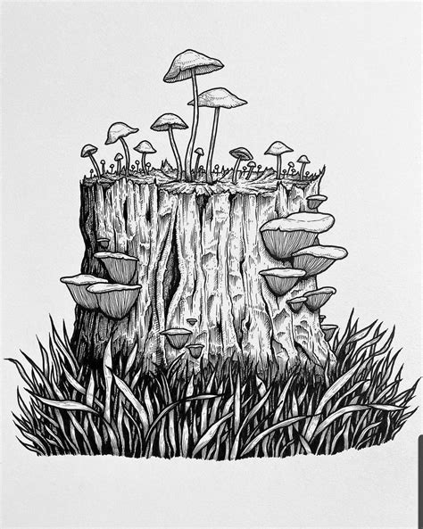 Pin By Tiny Cat In Tiny Hat On Drawings Cool Art Drawings Nature Drawing Forest Drawing