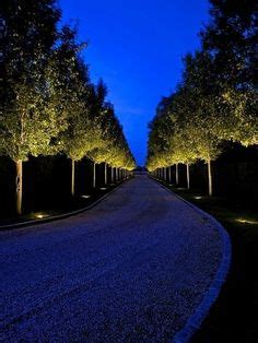 11 Tree UpLighting ideas in 2023 | landscape lighting design, landscape ...