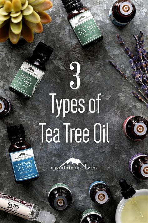 Aromatherapy With Tea Tree Essential Oils Diffuser Blend Homemade