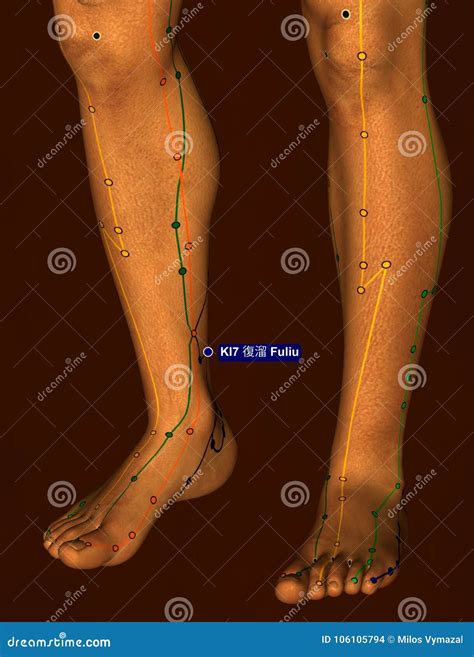 Acupuncture Point Ki7 Fuliu 3d Illustration Brown Background Stock