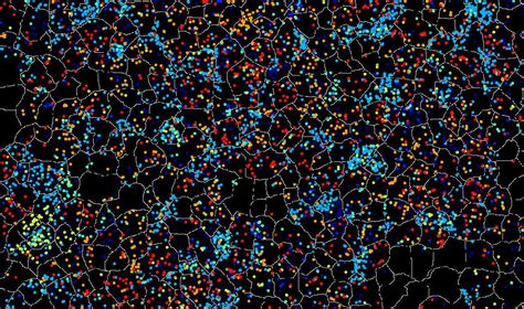 Spatial Transcriptomics Puts More Biology On The Map