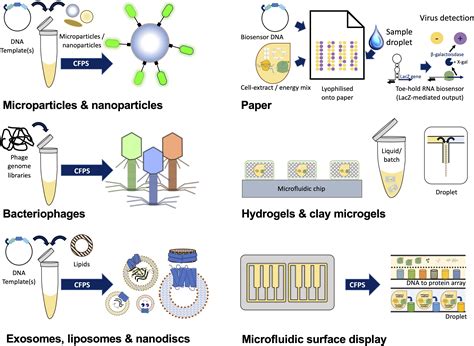 Frontiers Biological Materials The Next Frontier For Cell Free