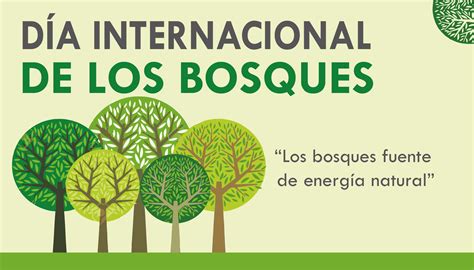 Dia Mundial De Los Bosques Maud Saidee