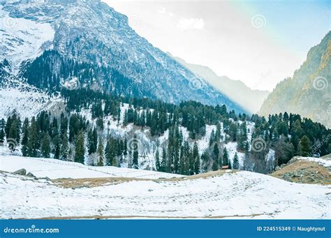 Thajiwas Glacier, Sonamarg, Jammu and Kashmir, India. Sonamarg is One ...