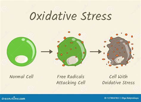 oxidative cartoons illustrations vector stock images  pictures