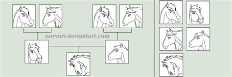 Horse Family Tree Base by Narvari on DeviantArt