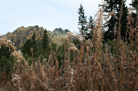 The High Tatras: An Underrated Hiking Gem - The Tumbling Nomads