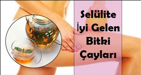 Sel Lite Yi Gelen Bitki Aylar