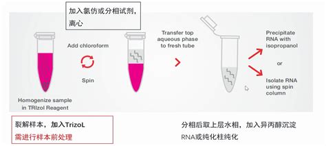 RNA分离解决方案值得信赖 爱必信 absin 官网