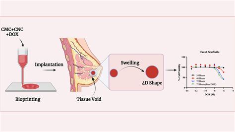 Scientists Are Using 4D Printing Technology To Create Personalized