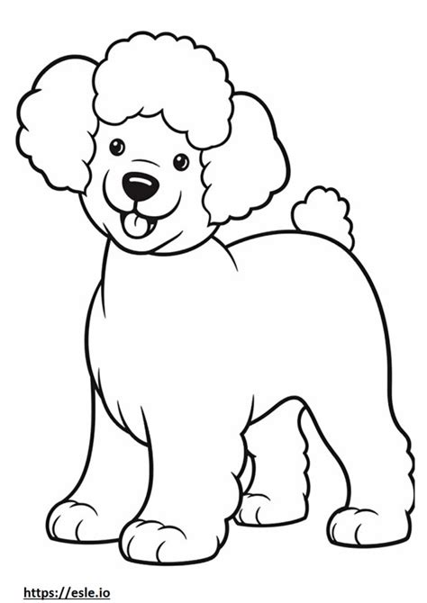 Bichon Frise Coloring Pages Free Printable