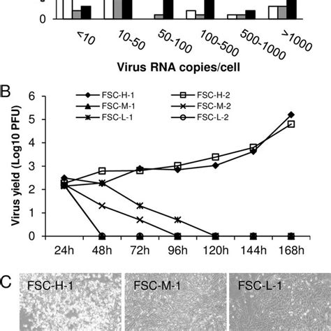 Larger Cells Have Greater Virus Replication In Acute FMDV Infection