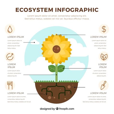 Free Vector | Ecosystem infographics