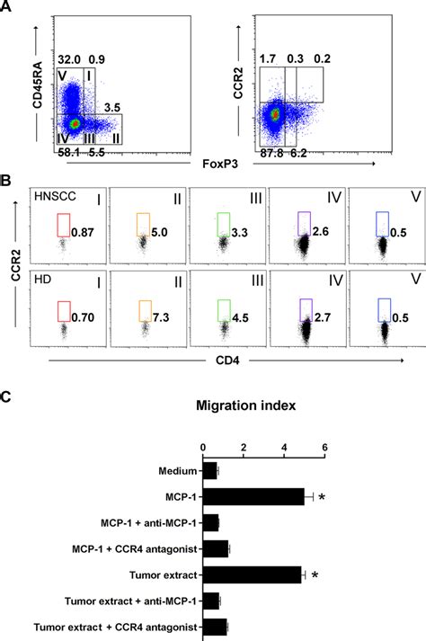 Mcp 1 Ccr4 Signaling Promotes Atreg Cell Migration A B