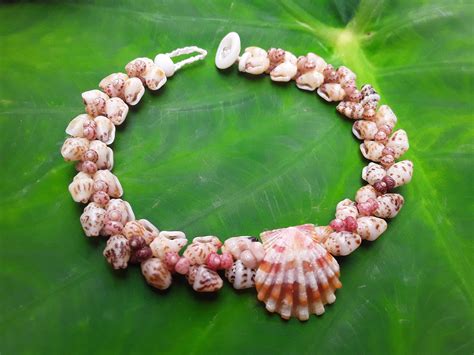 Hawaiian Shell Bracelet Kahelelani Shell Bracelet Traditional Etsy