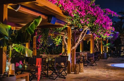 Ipanema Lounge Bar Ayia Napa Menú Precios Y Restaurante Opiniones Tripadvisor