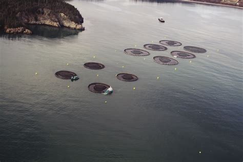 R Et D En Aquaculture Au Canada De