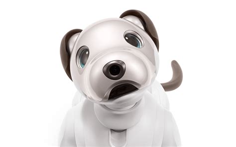 Get Yourself a Sony Aibo Robot Dog that's Equally Cute & Useful