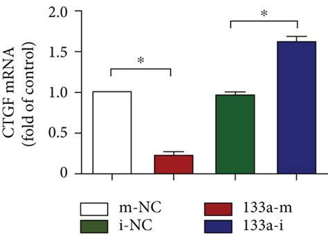 Mir 133a Blunted Cardiac Fibroblast Proliferation And Activation A