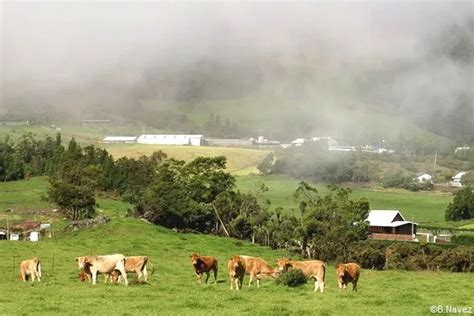 La Réunion Découvrez la Plaine des Cafres