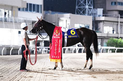 最後の南関3歳クラシックで22年ぶり無敗の三冠馬誕生ミックファイアが劇的v 競馬ニュースなら競馬のおはなし