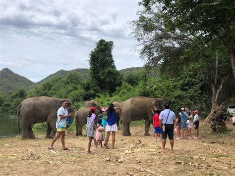 elephant sanctuary half day afternoon program