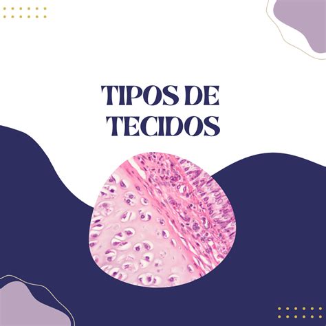 Quais são os tipos de tecidos Cursau Educação Blog