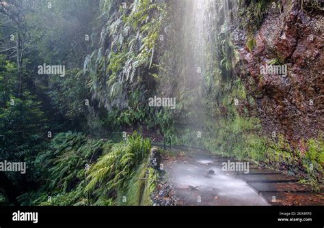 Hiking trail along a levada in Madeira Stock Photo - Alamy