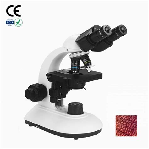 Olympus Biological Compound Electronic Binocular Microscope Digital Microscope China Discovery