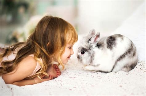 10 Best Rabbits for Kids | PetGuide