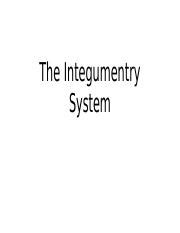 L33 - Anatomy of integmentary system Dr. TS Cecot 20181107 .pptx - The Integumentry System ...