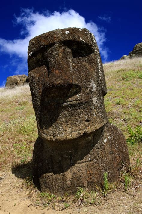 ,🗿 : moai