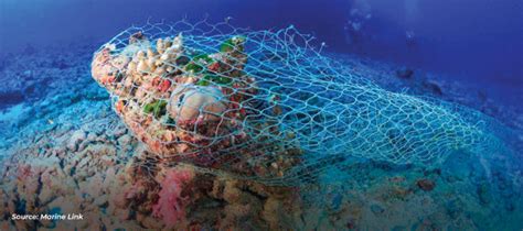 Ghosted Fishing Gear Adds Up To The Plastic Problem In The Oceans