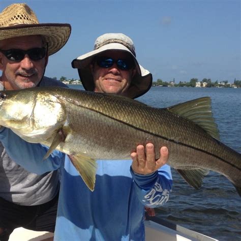 Tampa Bay Fish Species - Captain Matt Fishing Charters