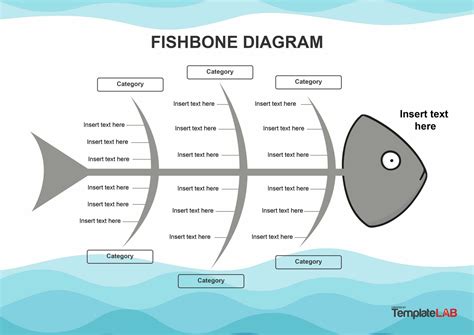 fishbone graphic organizer worksheetscity