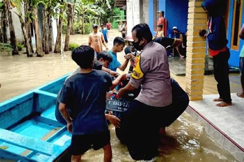 Terus Diguyur Hujan Sungai Serayu Meluap Ribuan Rumah Warga Di