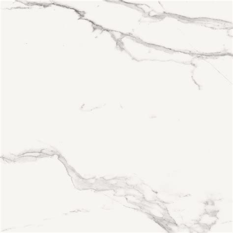 Precious Natural Marble Look Tile Floor And Wall Tile Florida Tile