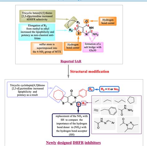 Synthesis Antitumor Activity And In Silico Drug Design Of New Thieno