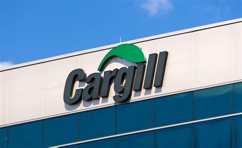 Cargill to set up a chocolate factory in India - IndBiz | Economic ...