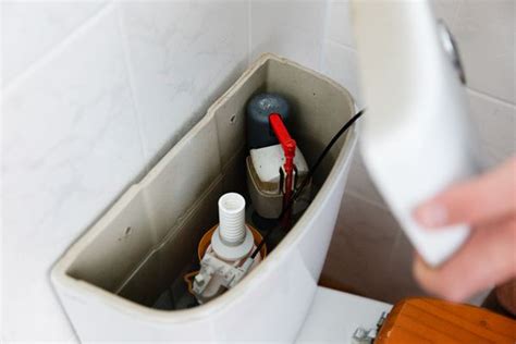 How To Replace A Toilet Flapper