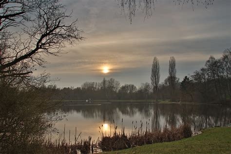 Am Steinertsee C Frank Beisheim Naturgucker De Enjoynature Net