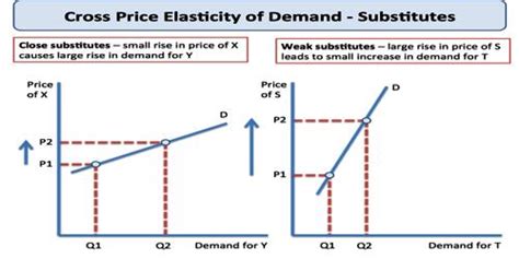 Concept of Cross Elasticity of Demand - Assignment Point