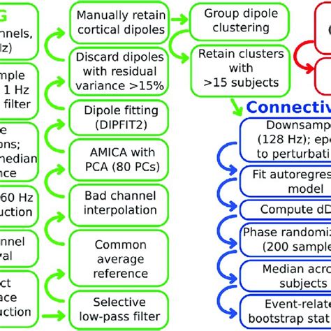 Schematic Of Processing Pipeline The EEG Green And EMG Red