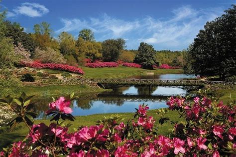 11 Beautiful Alabama Gardens To Visit This Spring Al